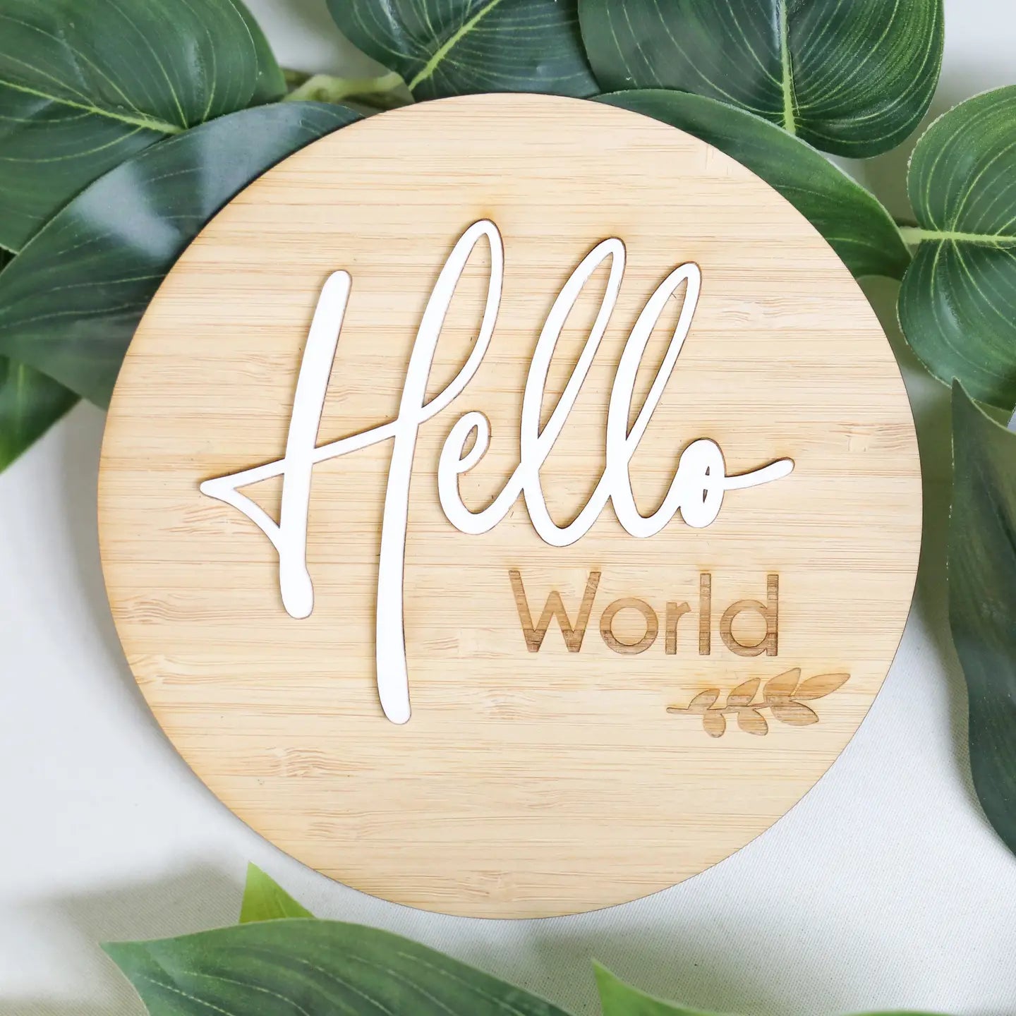 Hello World 3D Birth Announcement Plaque