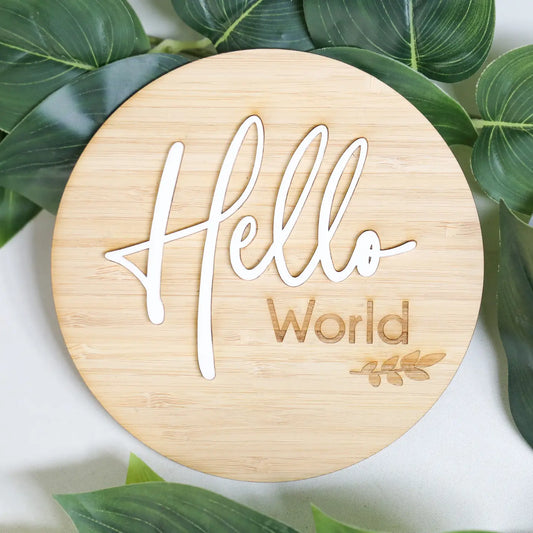 Hello World 3D Birth Announcement Plaque