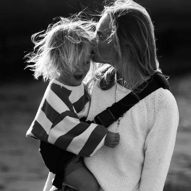 Wildride Toddler Carrier - Main